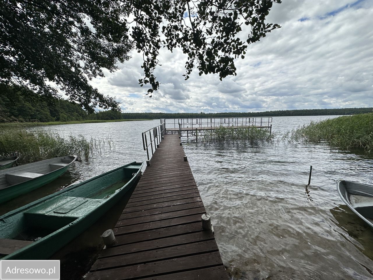 Działka rekreacyjna Dołgie. Zdjęcie 5