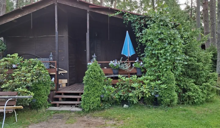 Działka rekreacyjna Zbychowo, ul. Sosnowa