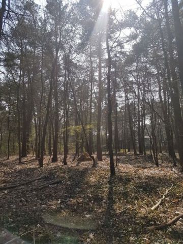 Działka budowlana Magdalenka, ul. Olchy. Zdjęcie 1