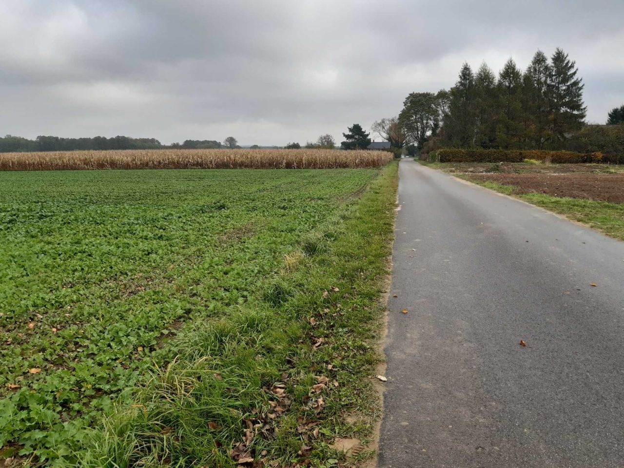 Działka rolno-budowlana Nowy Dwór-Parcela. Zdjęcie 7