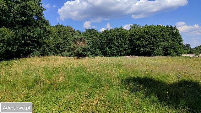 Działka rolna Zielona Góra Nowy Kisielin, ul. Nowy Kisielin-Dolna. Zdjęcie 1