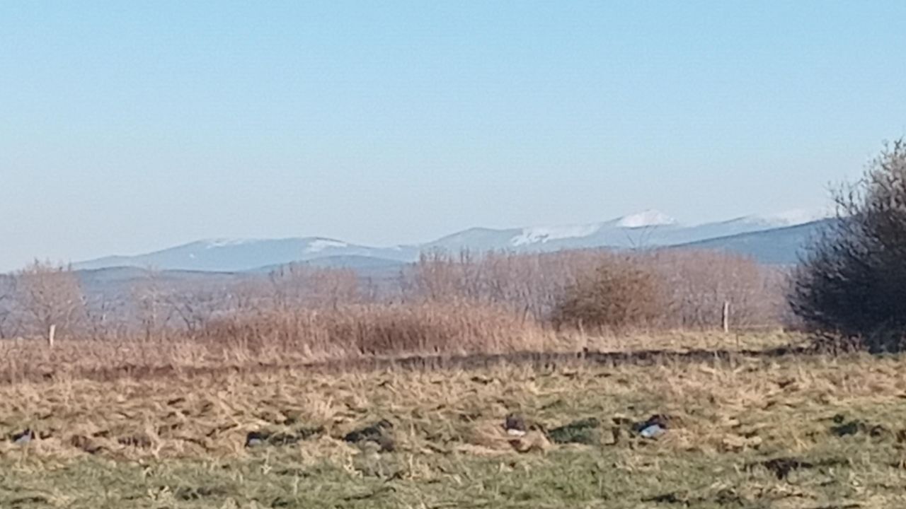 Działka budowlana Giebułtów Augustów