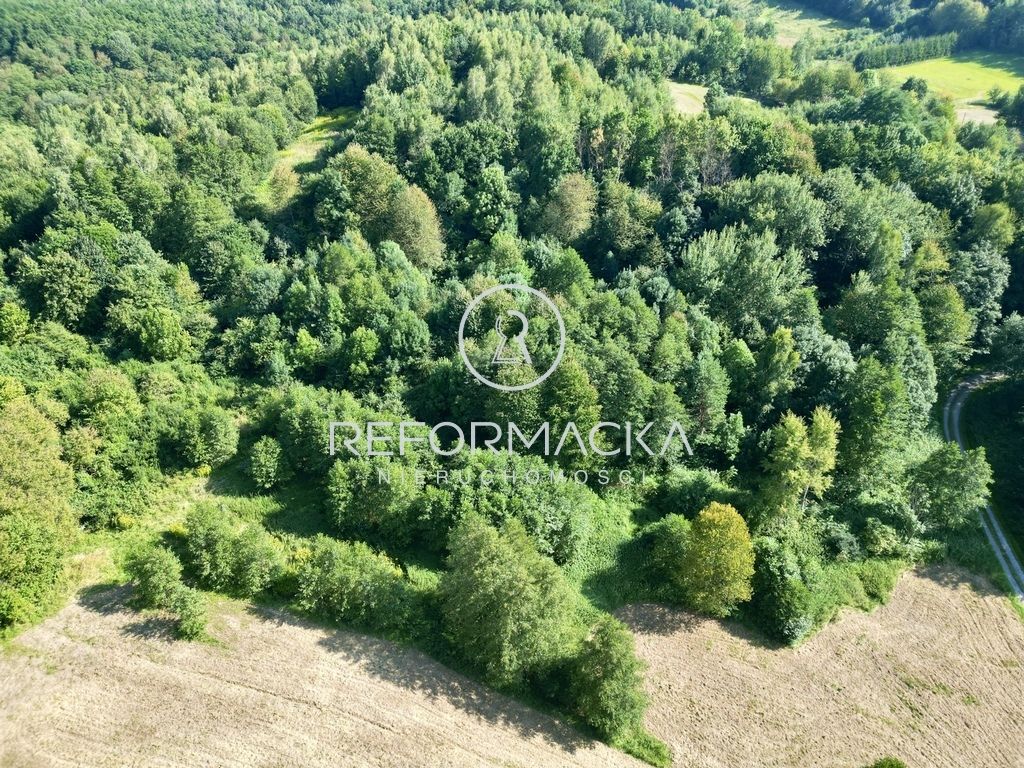 Działka rolna Dubiecko. Zdjęcie 9