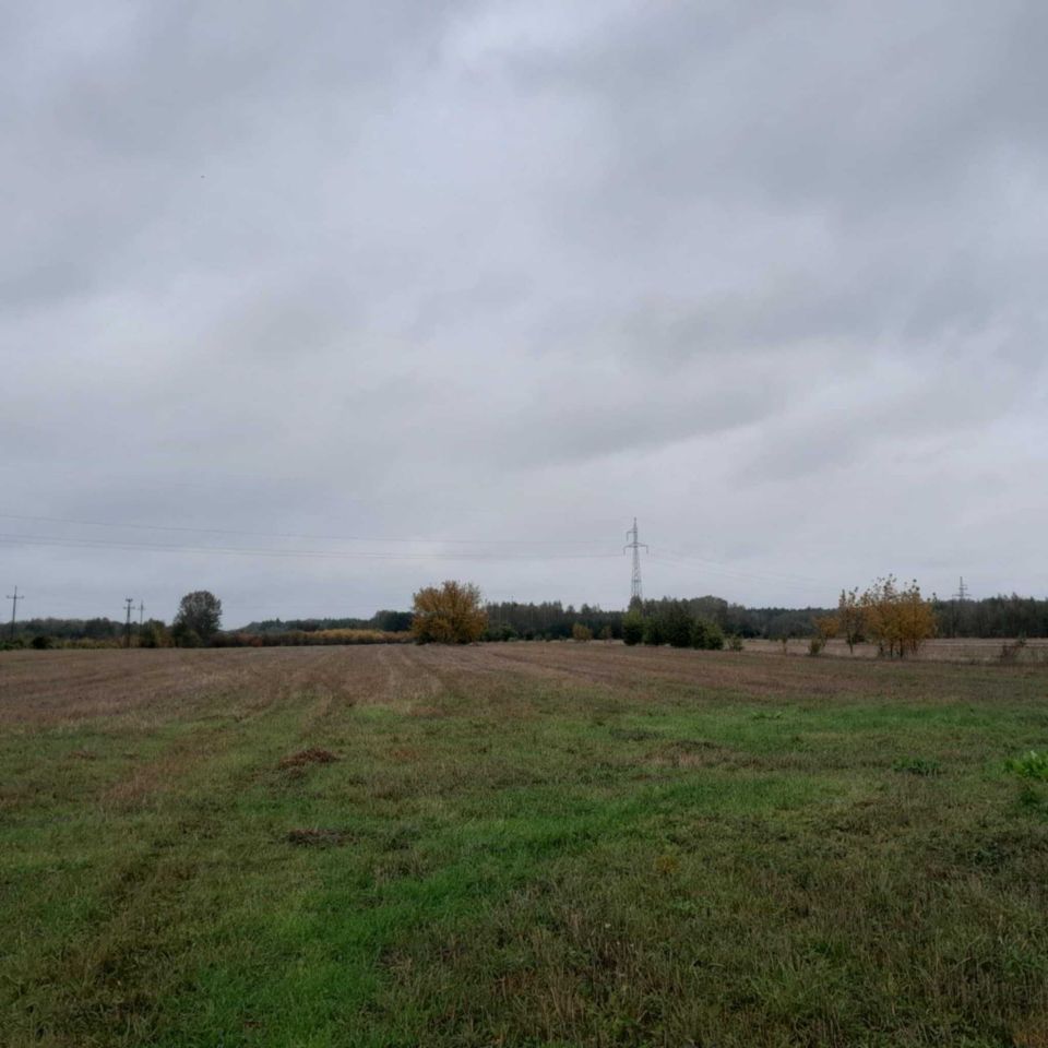 Działka rolno-budowlana Zaręby, ul. Zięby. Zdjęcie 3