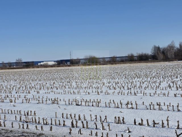 Działka inwestycyjna Błonie, ul. Sochaczewska. Zdjęcie 10