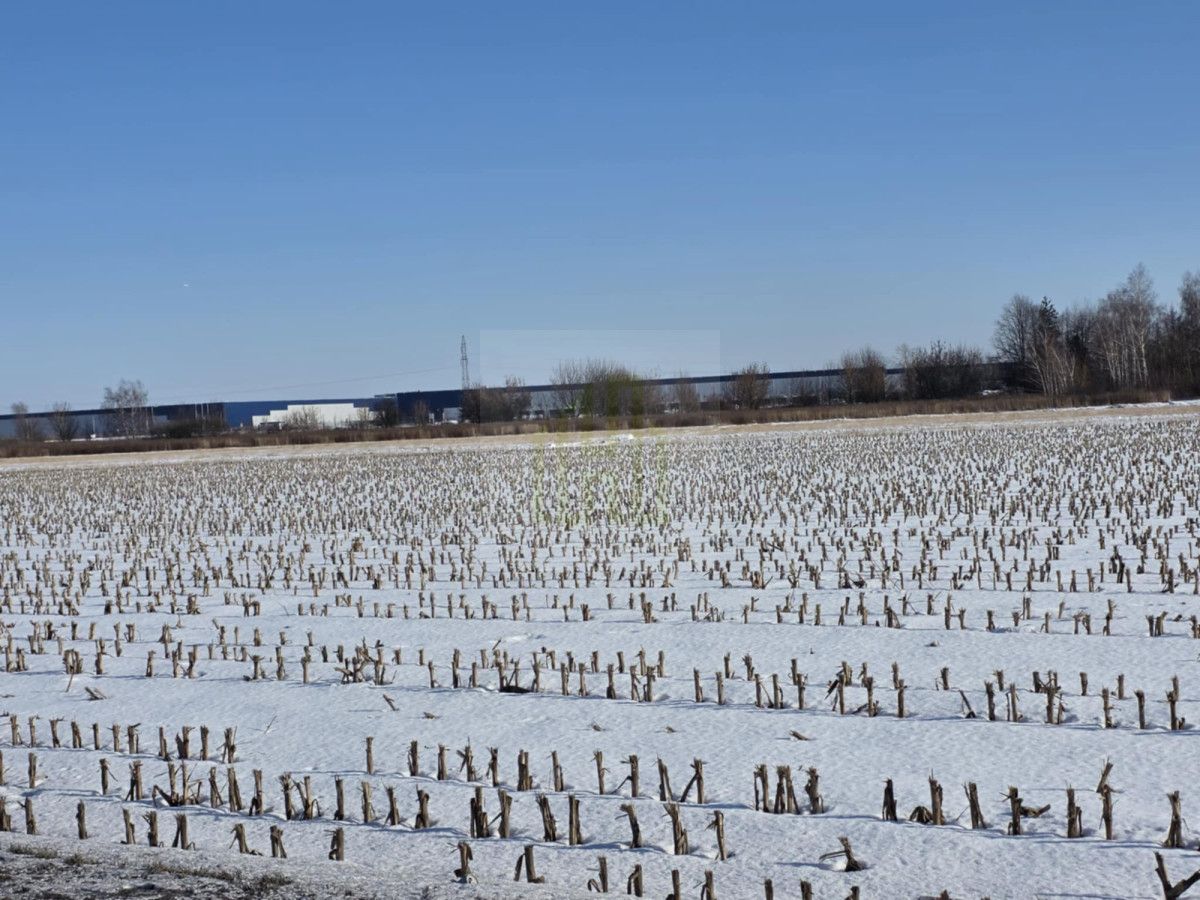 Działka inwestycyjna Błonie, ul. Sochaczewska. Zdjęcie 10