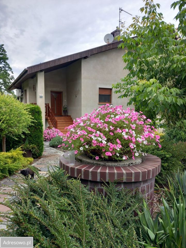 dom wolnostojący, 5 pokoi Jurkowo. Zdjęcie 12