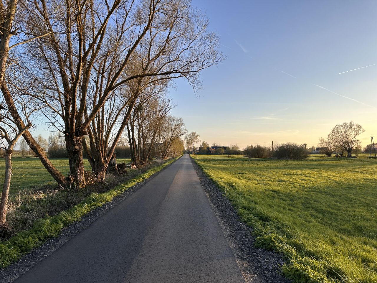 Działka budowlana Przynotecko. Zdjęcie 4