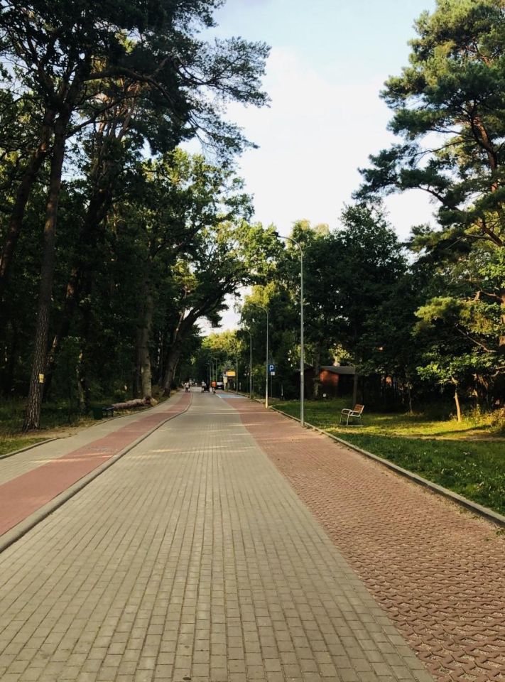 Działka inwestycyjna Wicie, ul. Morska. Zdjęcie 11