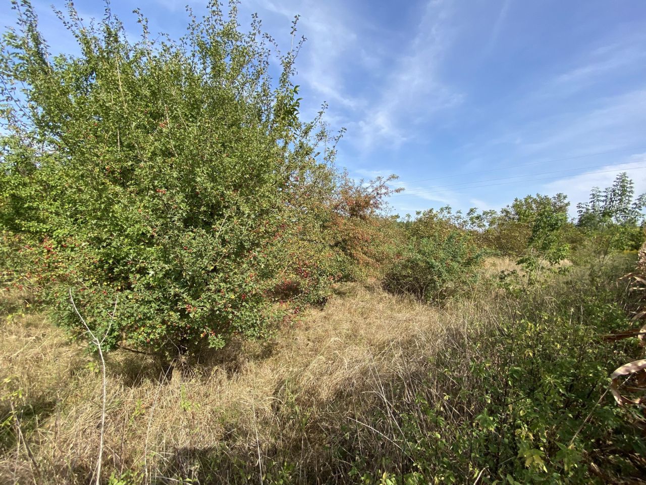 Działka budowlana Tywonia. Zdjęcie 6