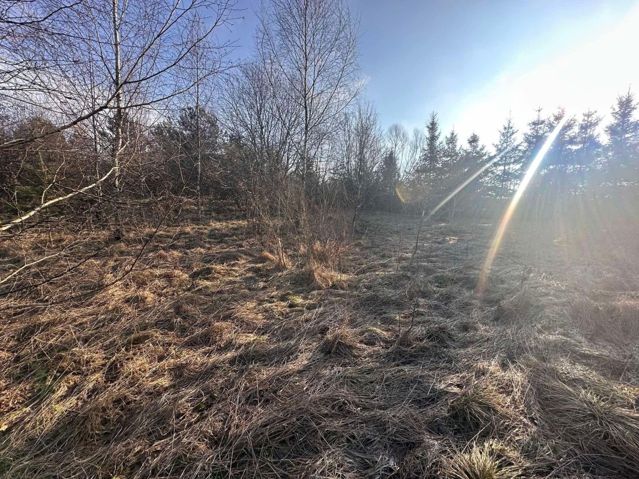 Działka budowlana Pomlewo, ul. Szkolna. Zdjęcie 4