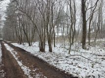 Działka budowlana Grabowa Błojec, ul. Błojec. Zdjęcie 3