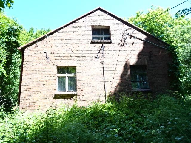 siedlisko Boguszewo, Boguszewo. Zdjęcie 11