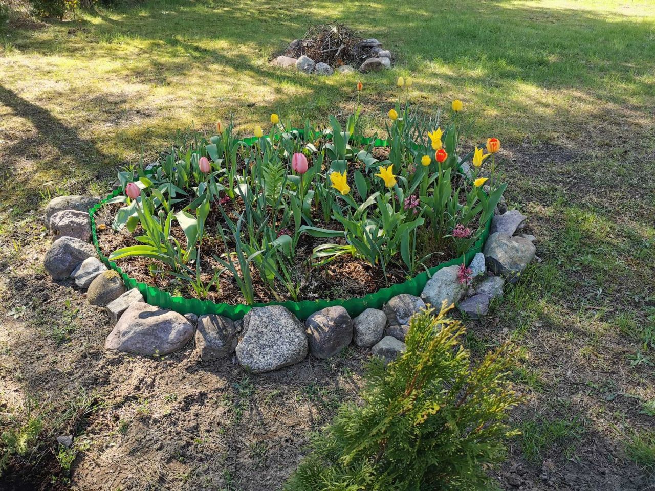 Działka rod Gdańsk Osowa. Zdjęcie 7