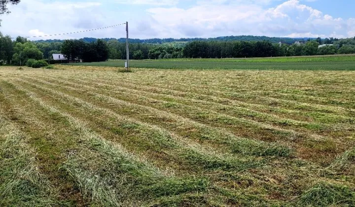 Działka budowlana Złota