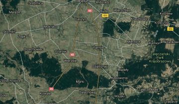 Działka leśna Grębień