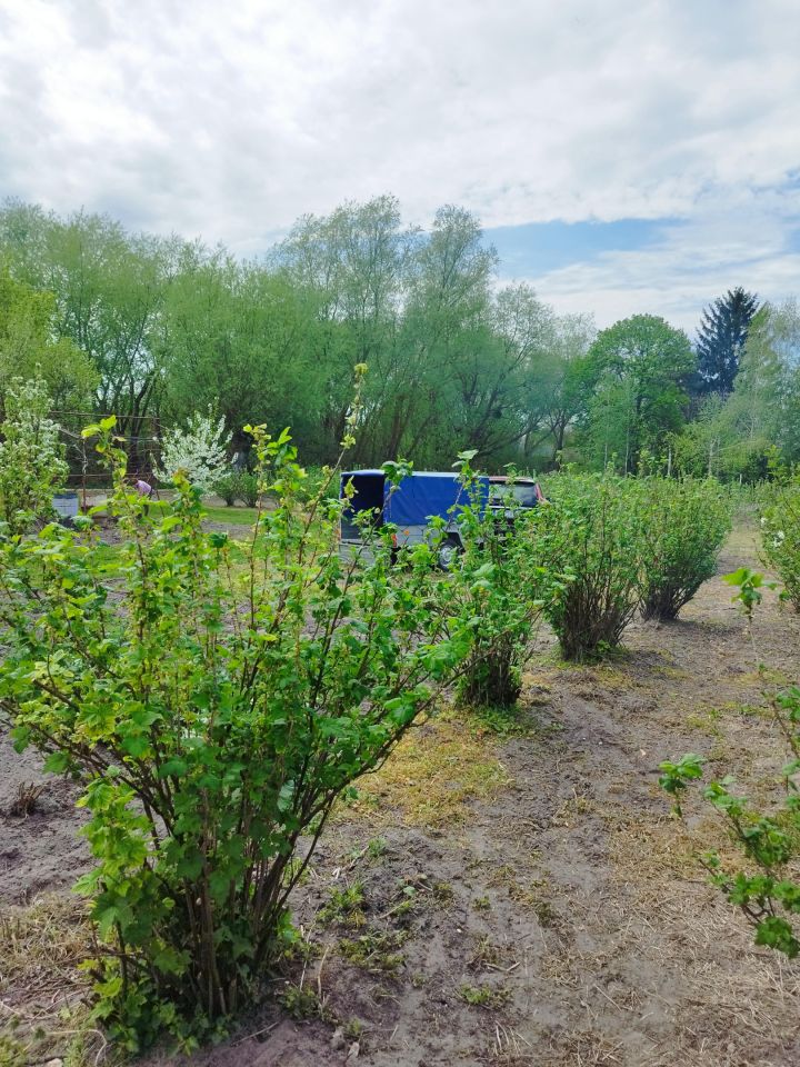 Działka siedliskowa Kępa. Zdjęcie 3