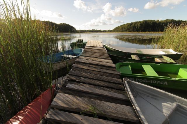 Działka rekreacyjna Potrzanowo, ul. Stare Potrzanowo. Zdjęcie 10