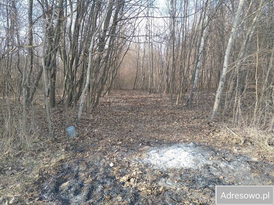 Działka rekreacyjna Wólka Nadrybska. Zdjęcie 3