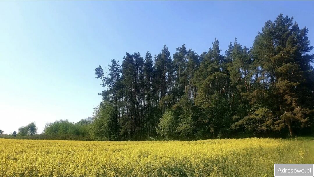 Działka budowlana Terpentyna. Zdjęcie 6