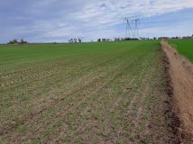 Działka rolno-budowlana Opatów, ul. Klepaczka. Zdjęcie 3