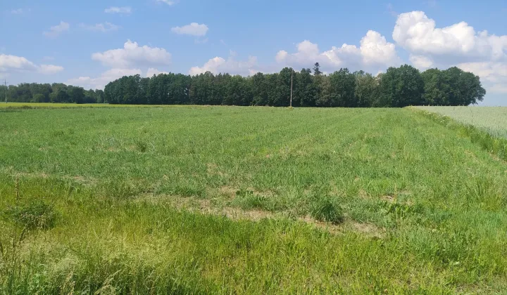 Działka budowlana Adamów