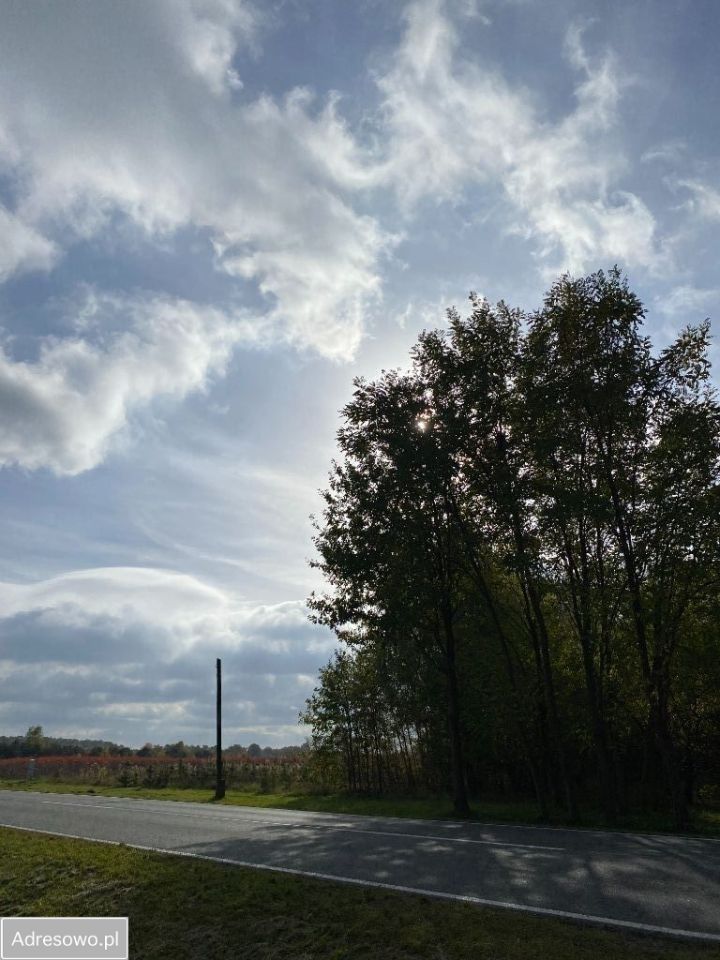 Działka rolna Stary Łajszczew. Zdjęcie 2