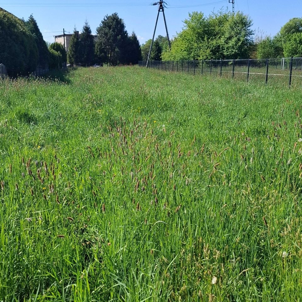Działka rekreacyjna Oświęcim, ul. Tadeusza Makowskiego. Zdjęcie 3