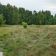 Działka budowlana Tleń, ul. Leszczynowa. Zdjęcie 10