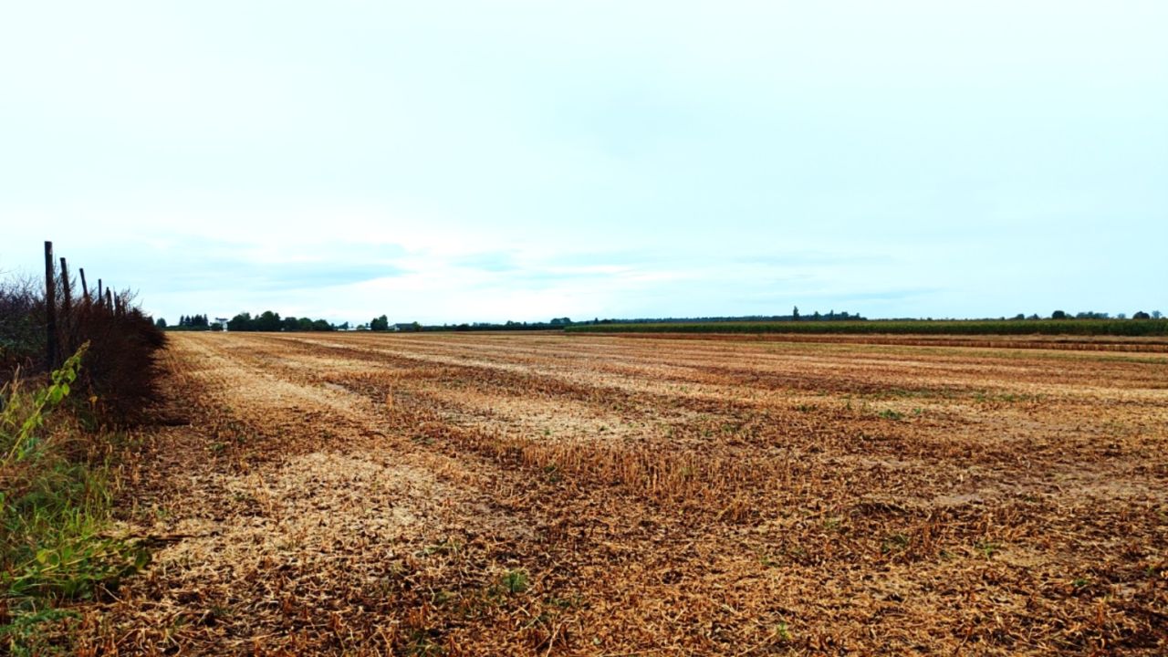 Działka inwestycyjna Zawichost, ul. Ostrowiecka. Zdjęcie 3