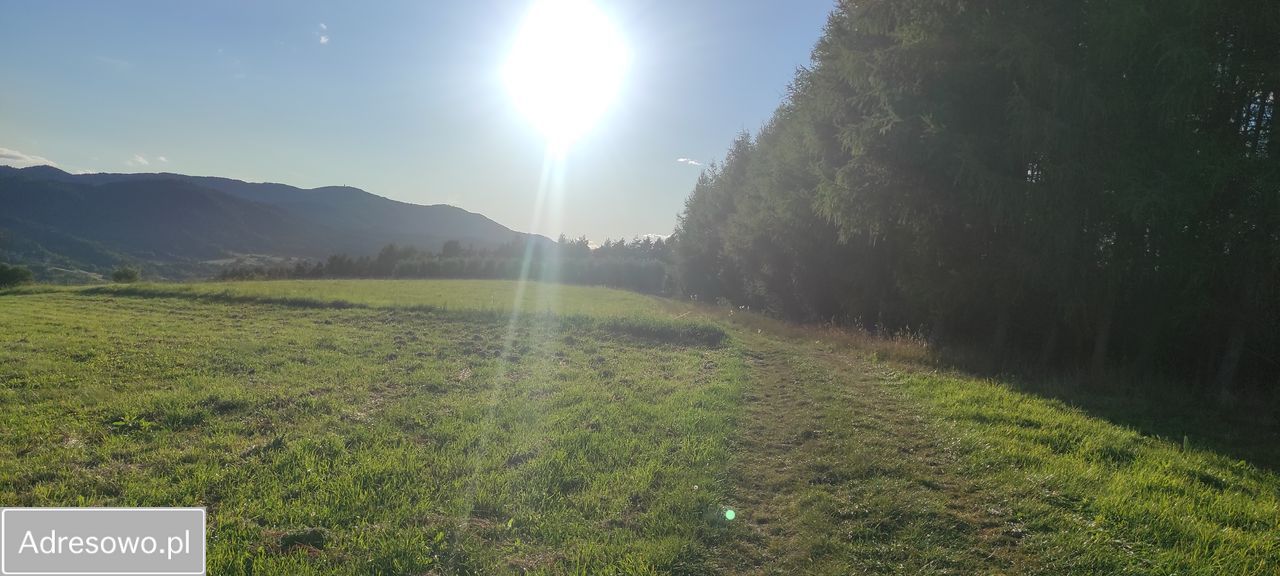 Działka rolna Wola Piskulina. Zdjęcie 3