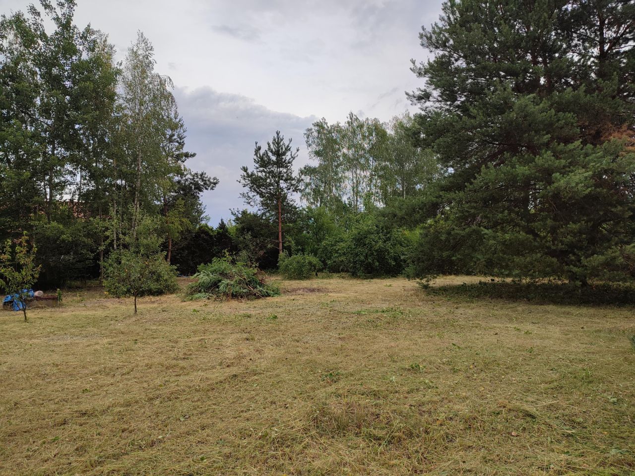 Działka budowlana Marylka, ul. Sosny. Zdjęcie 2