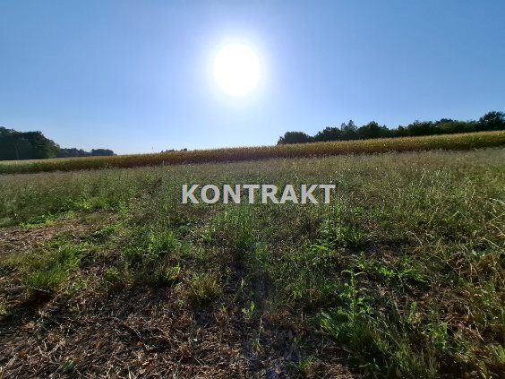 Działka Głębowice, ul. Oświęcimska. Zdjęcie 3