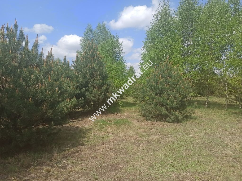 Działka budowlana Kuklówka Radziejowicka. Zdjęcie 4