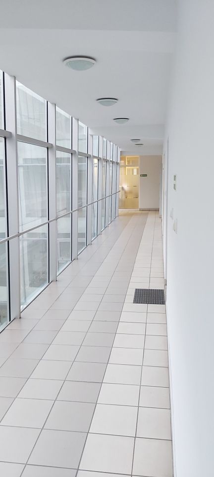 Mieszkanie 2-pokojowe Poznań Jeżyce, ul. Jana Henryka Dąbrowskiego. Zdjęcie 5