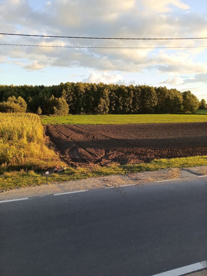 Działka budowlana Boduszewo. Zdjęcie 2