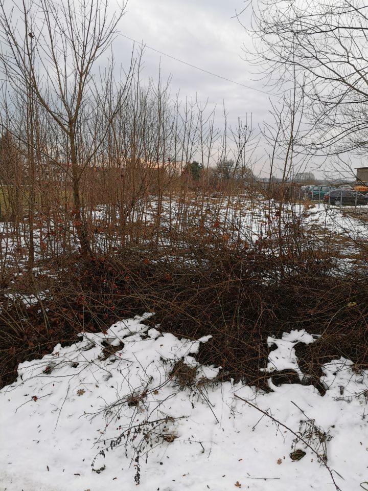 Działka rolno-budowlana Parczew, ul. Kościelna. Zdjęcie 3