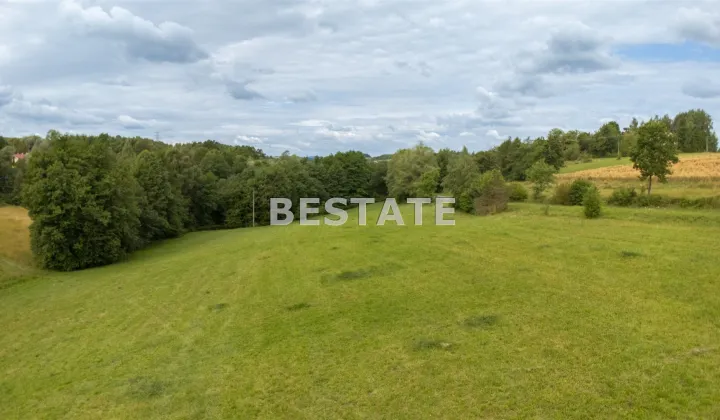 Działka rolna Rzepiennik Strzyżewski