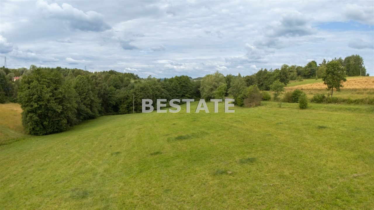 Działka rolna Rzepiennik Strzyżewski. Zdjęcie 1