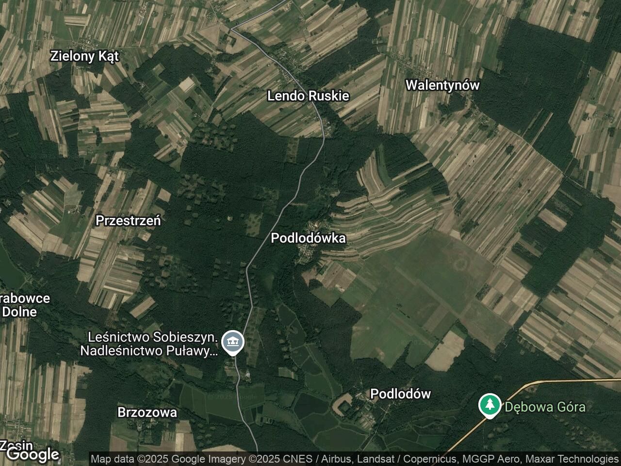 Działka siedliskowa Podlodówka