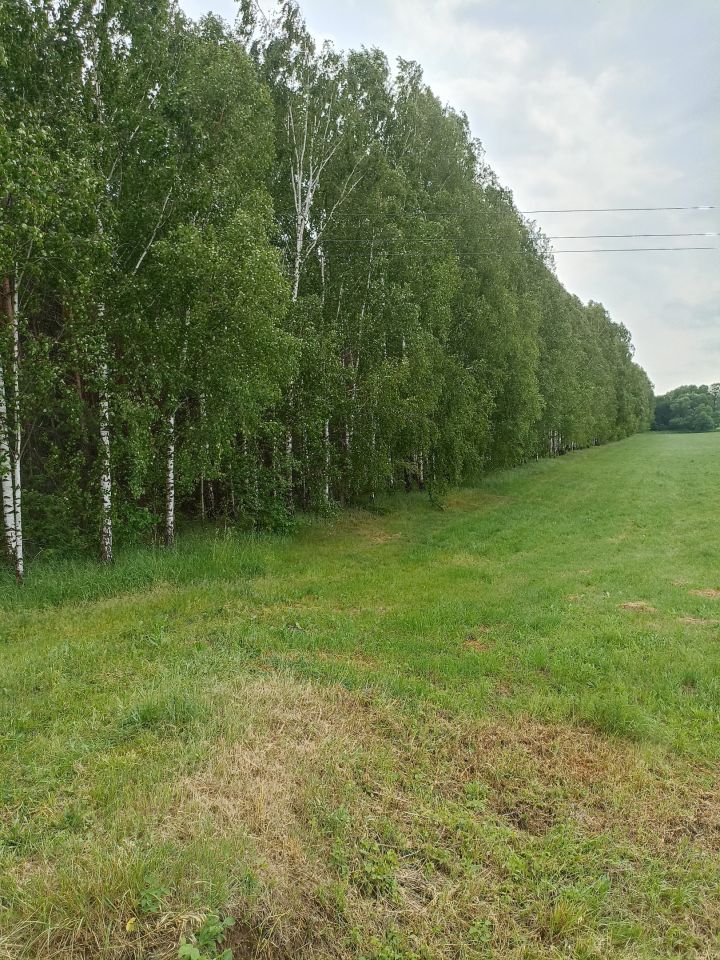 Działka leśna Krasowo-Częstki