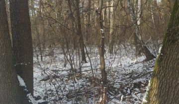 Działka inwestycyjna Warszawa Wawer, ul. Żarecka