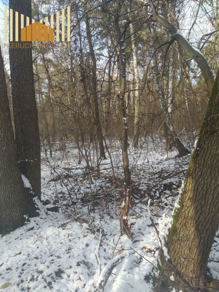 Działka inwestycyjna Warszawa Wawer, ul. Żarecka. Zdjęcie 2