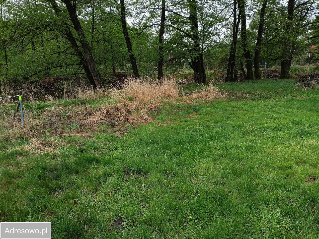 Działka rolna Popiołki. Zdjęcie 7