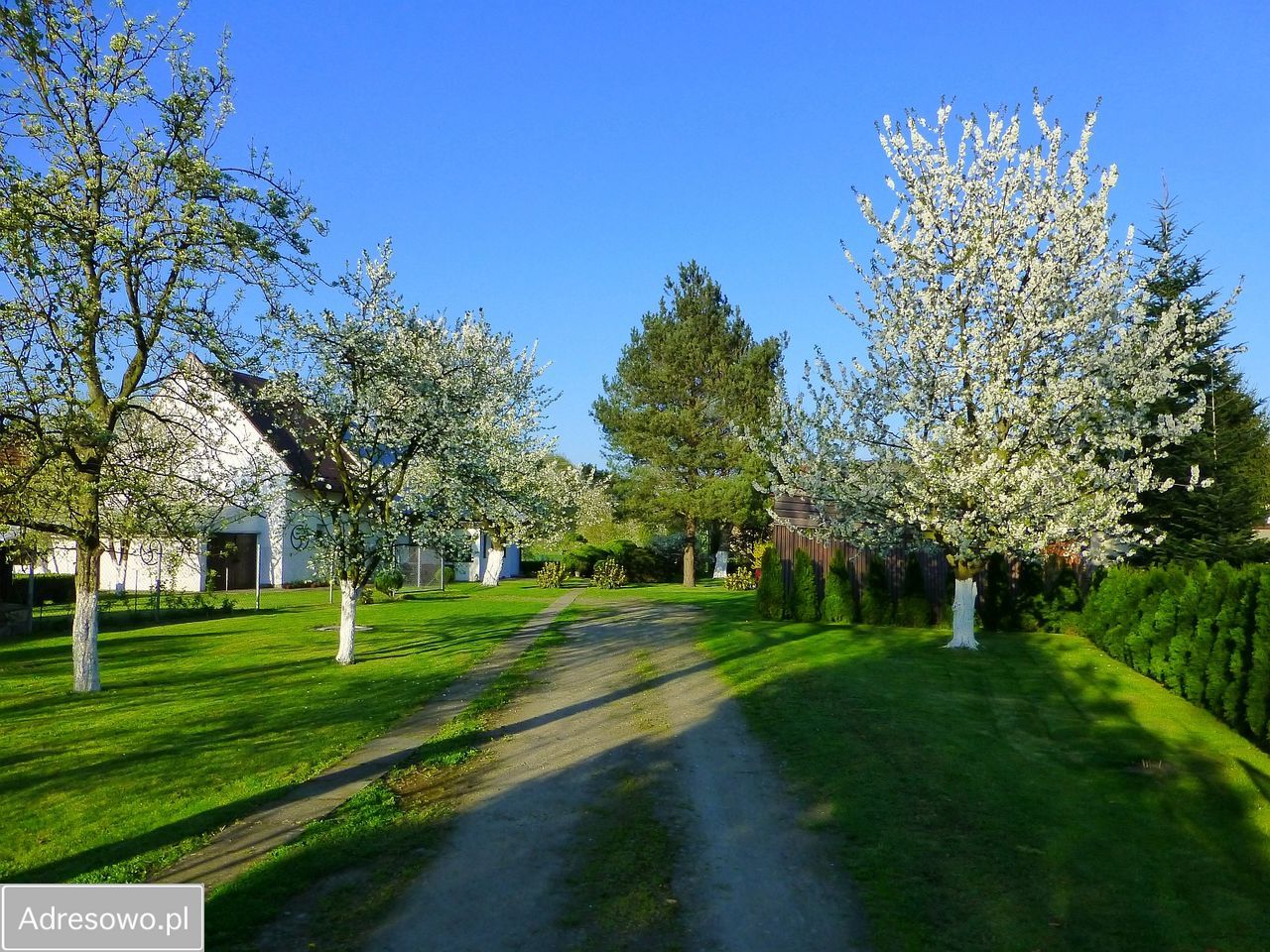dom wolnostojący, 2 pokoje Hajduki Nyskie. Zdjęcie 7
