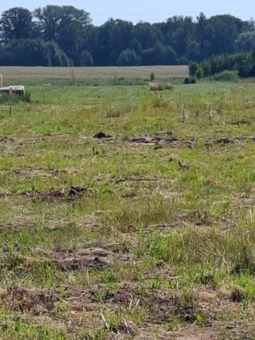 Działka budowlana Rynki. Zdjęcie 6