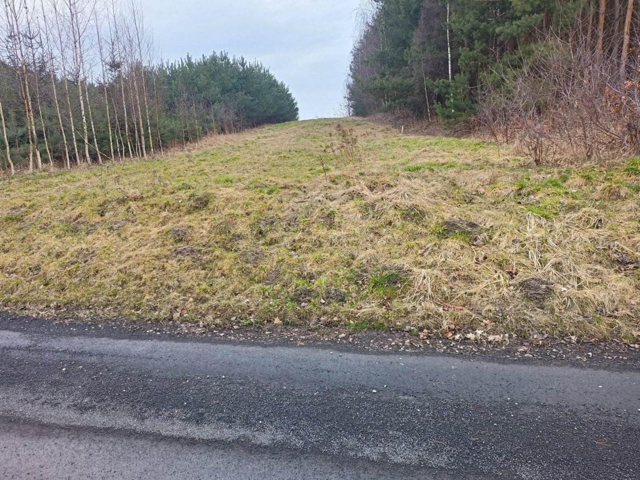 Działka rolno-budowlana Poświętne, ul. Polna. Zdjęcie 12