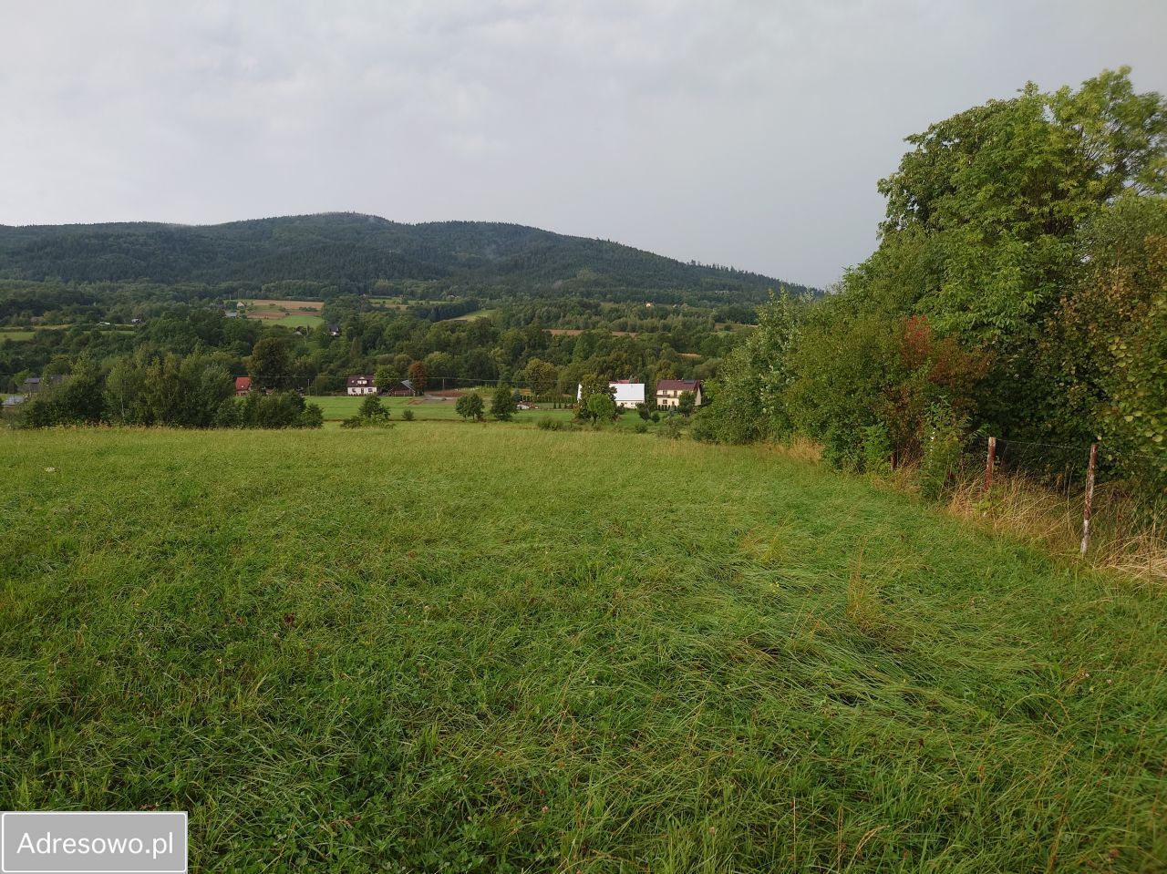 Działka budowlana Przenosza. Zdjęcie 5