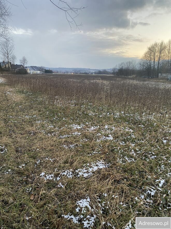 Działka rolno-budowlana Ryczów Chałupki, ul. Nadwiślańska. Zdjęcie 3