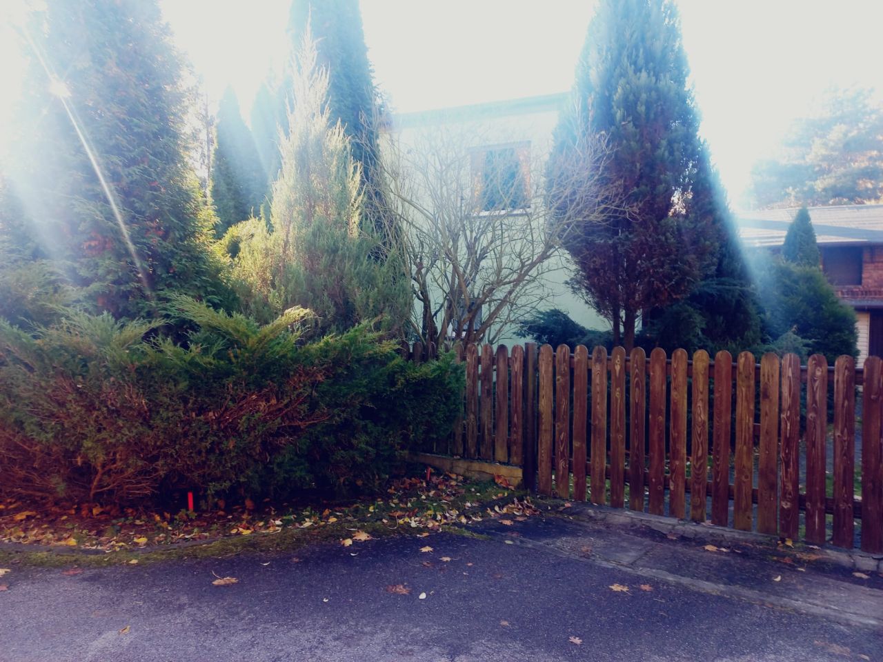 inny, 6 pokoi Przyszowice, Leśna. Zdjęcie 3